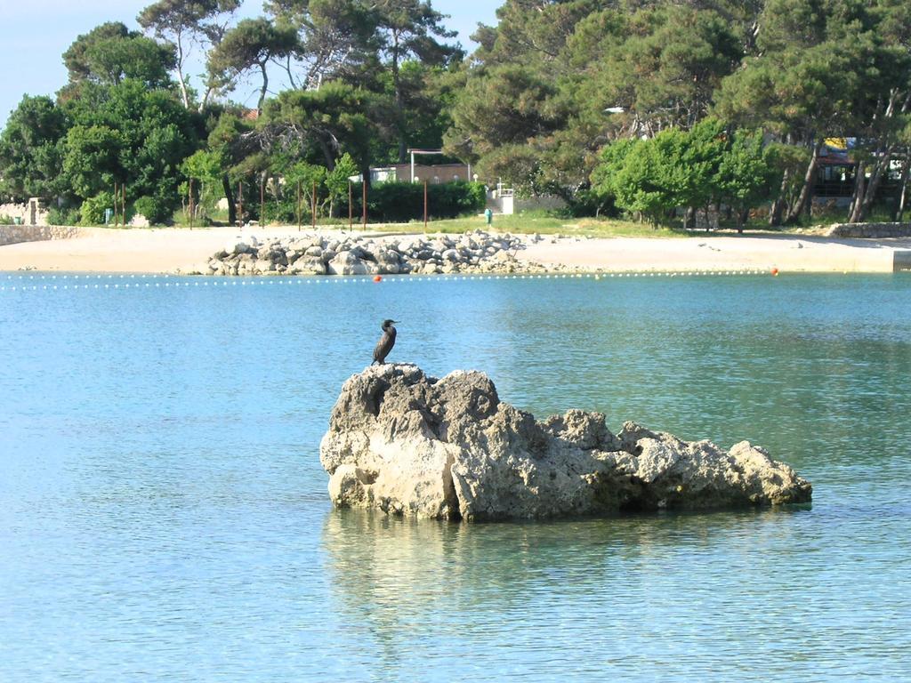 Apartman Vera Krk Town Εξωτερικό φωτογραφία